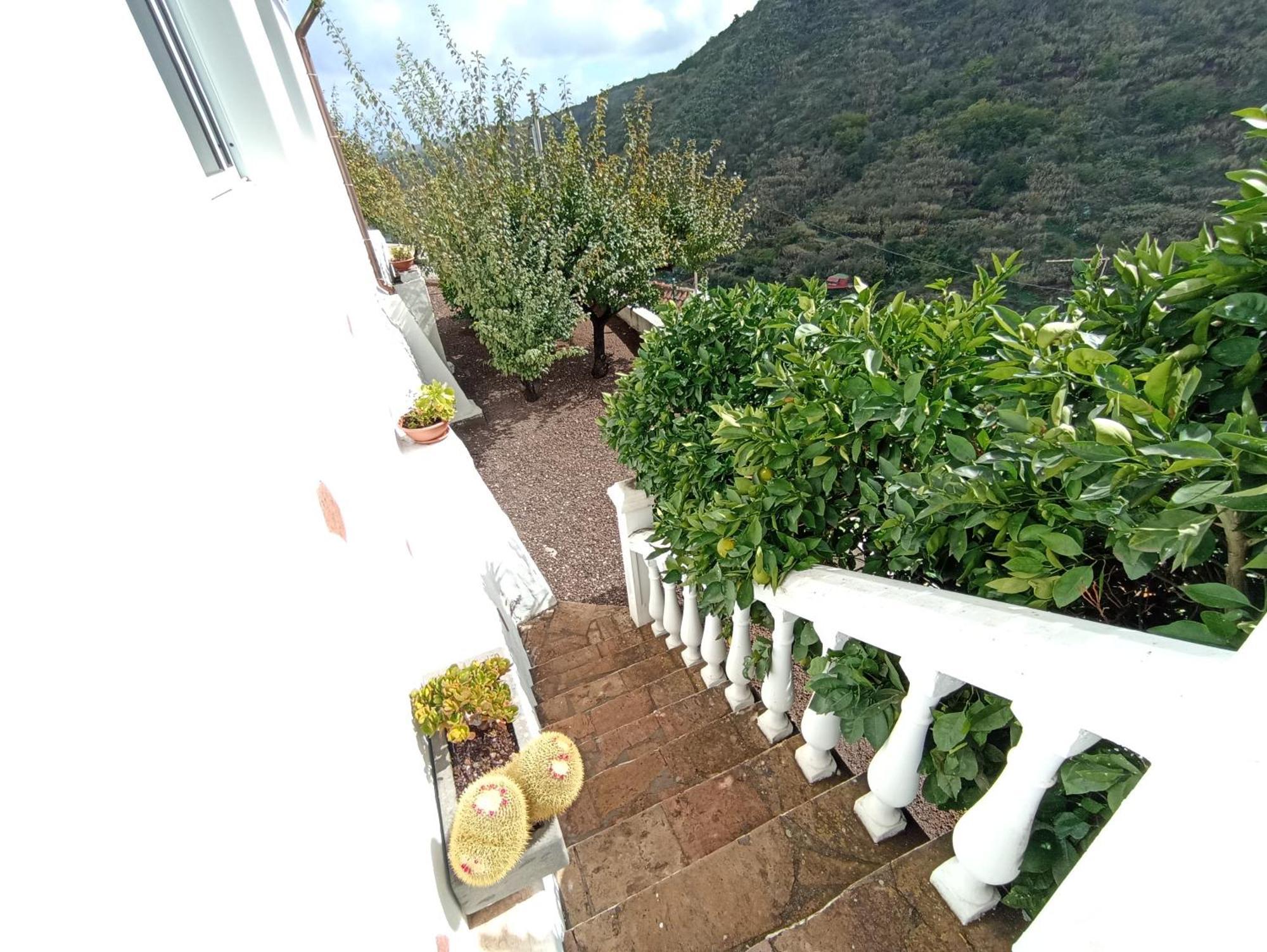 Casa Rural La Yedra San Mateo Arbejales Buitenkant foto